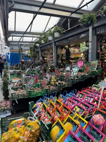 437701670 10224948986780381 2181509000227625543 n