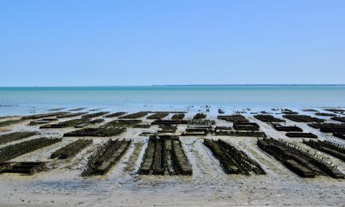 379025287 10223992929279541 8841511420877298255 n