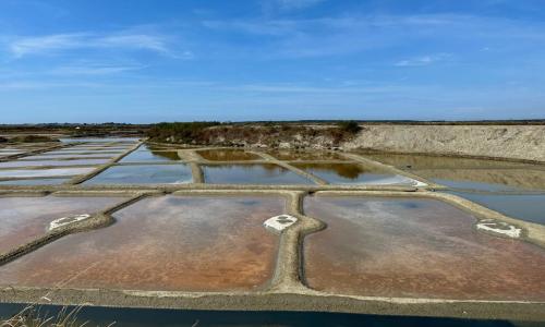 379128813 10223992926839480 8941079563836059502 n