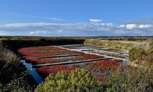 379135409 10223992932559623 4601782199000731373 n