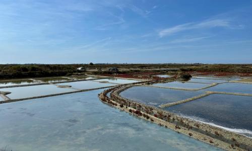 379291582 10223992927199489 3480086087466420017 n