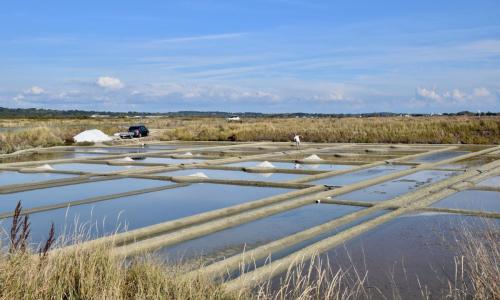 379319159 10223992931039585 8780365110387623532 n