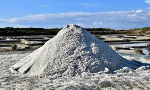 379394902 10223992931839605 5487795783127755611 n